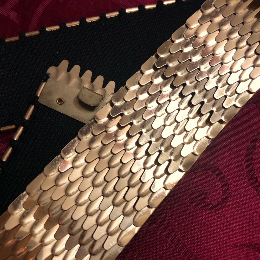 🇨🇦Small Stretch Snake Gold Belt